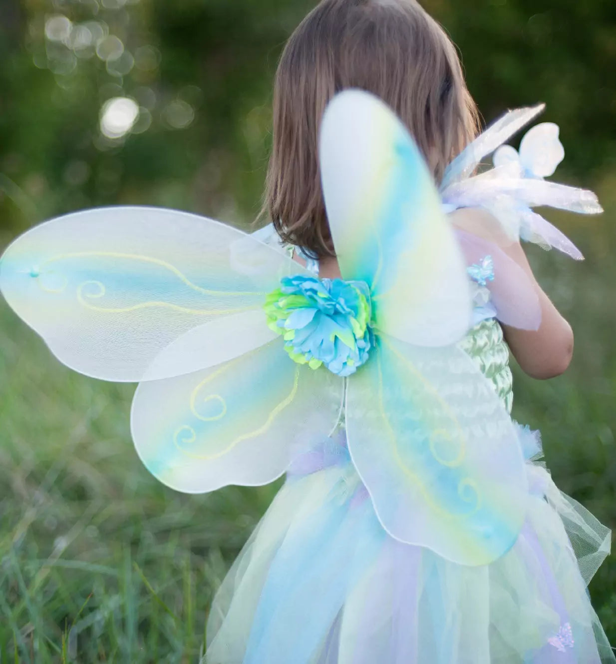 close up of wings