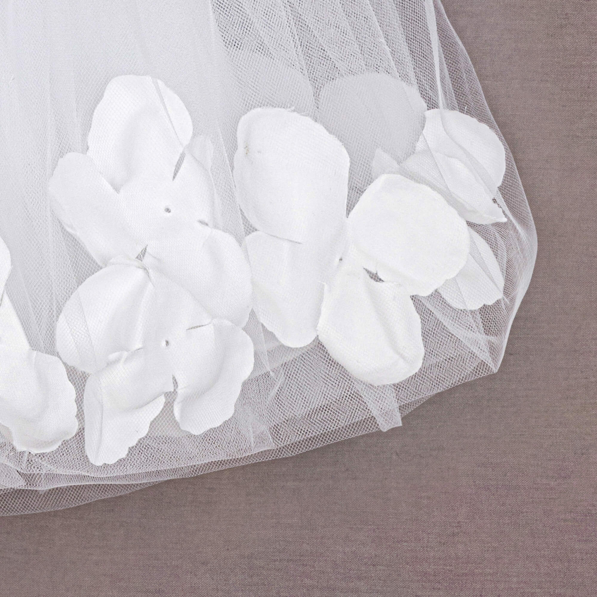 petals close up