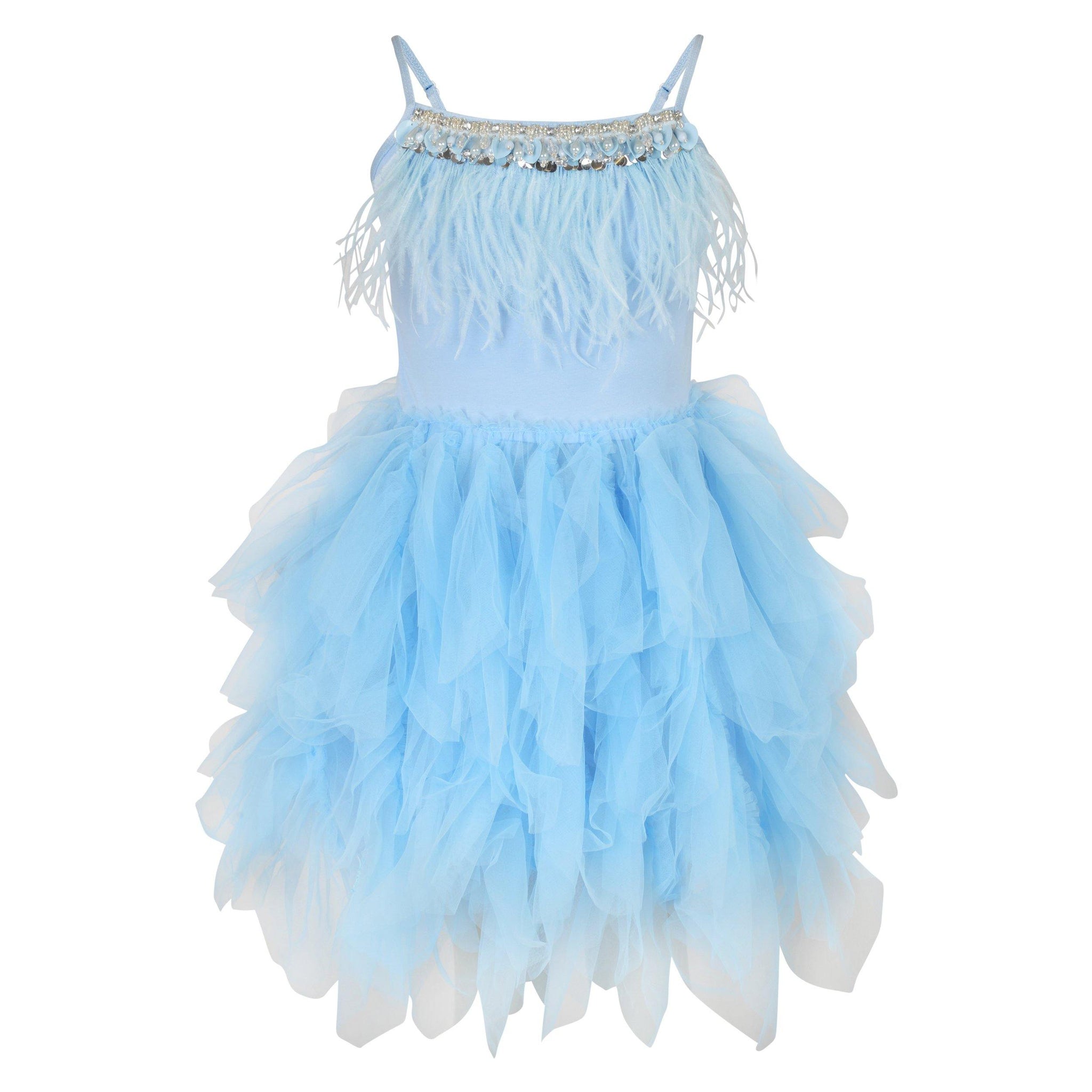 Girls Feathers and Frills Dress in sky blue