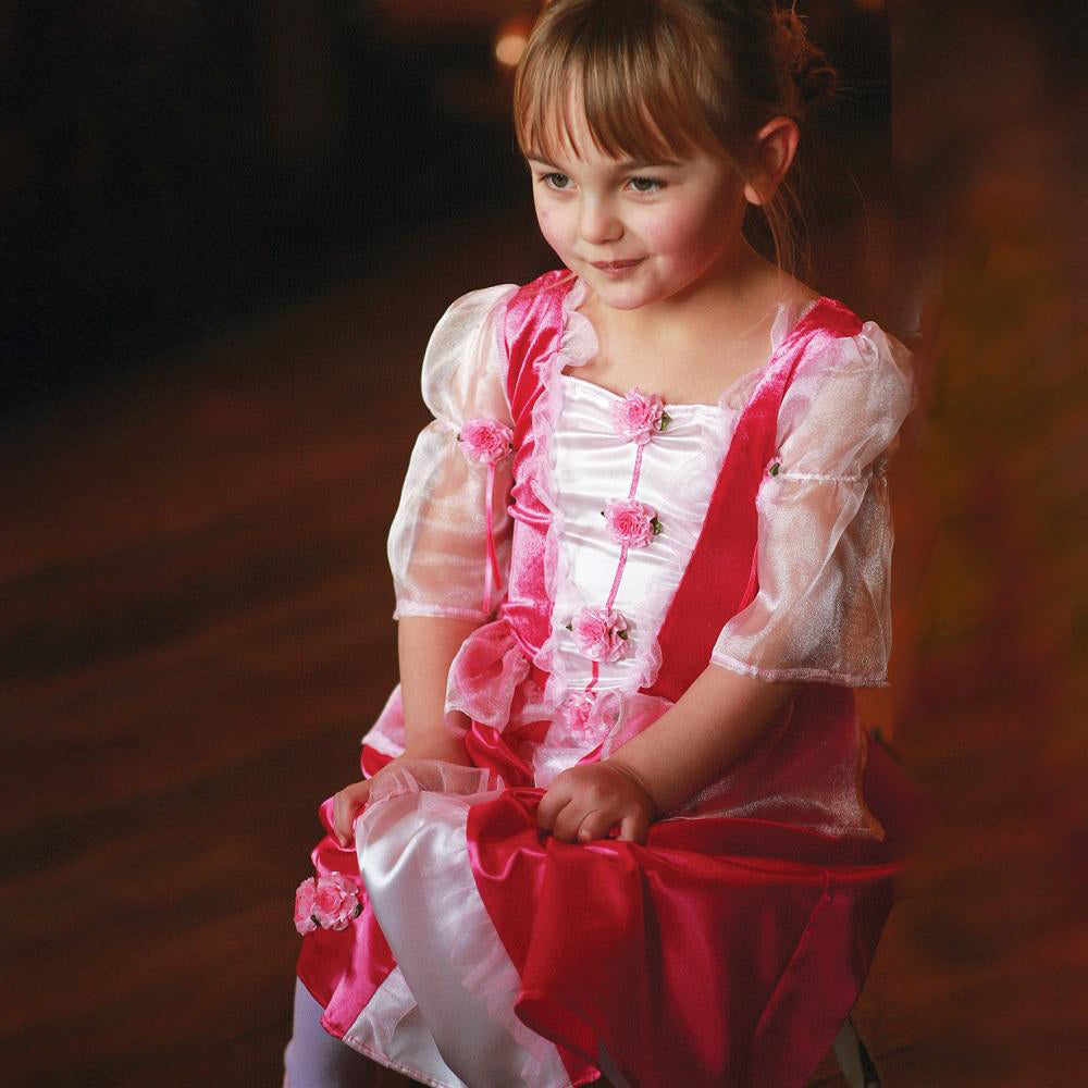 Girl wearing fairytale Princess costume