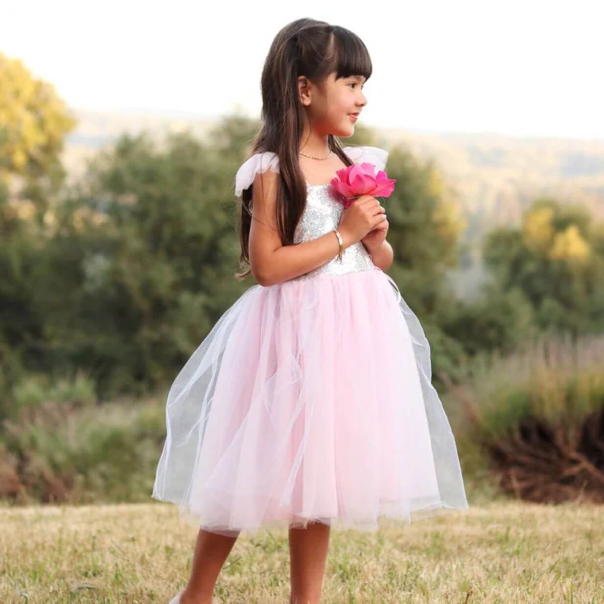 Sequins Fairy Princess Dress - Pink