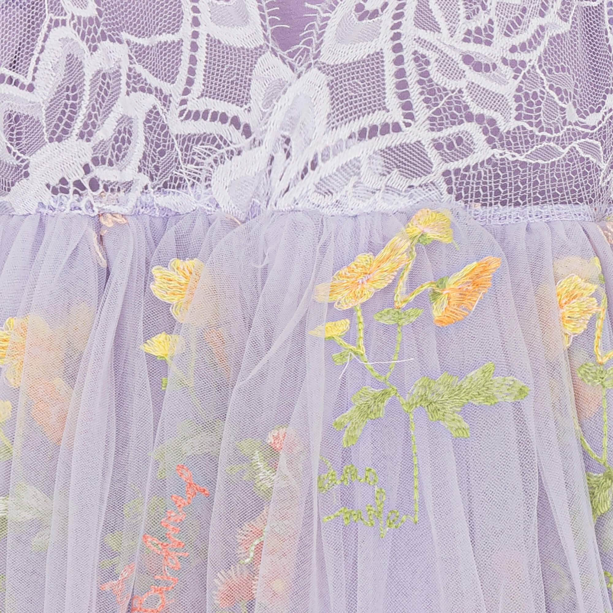 Close up of embroidered tulle