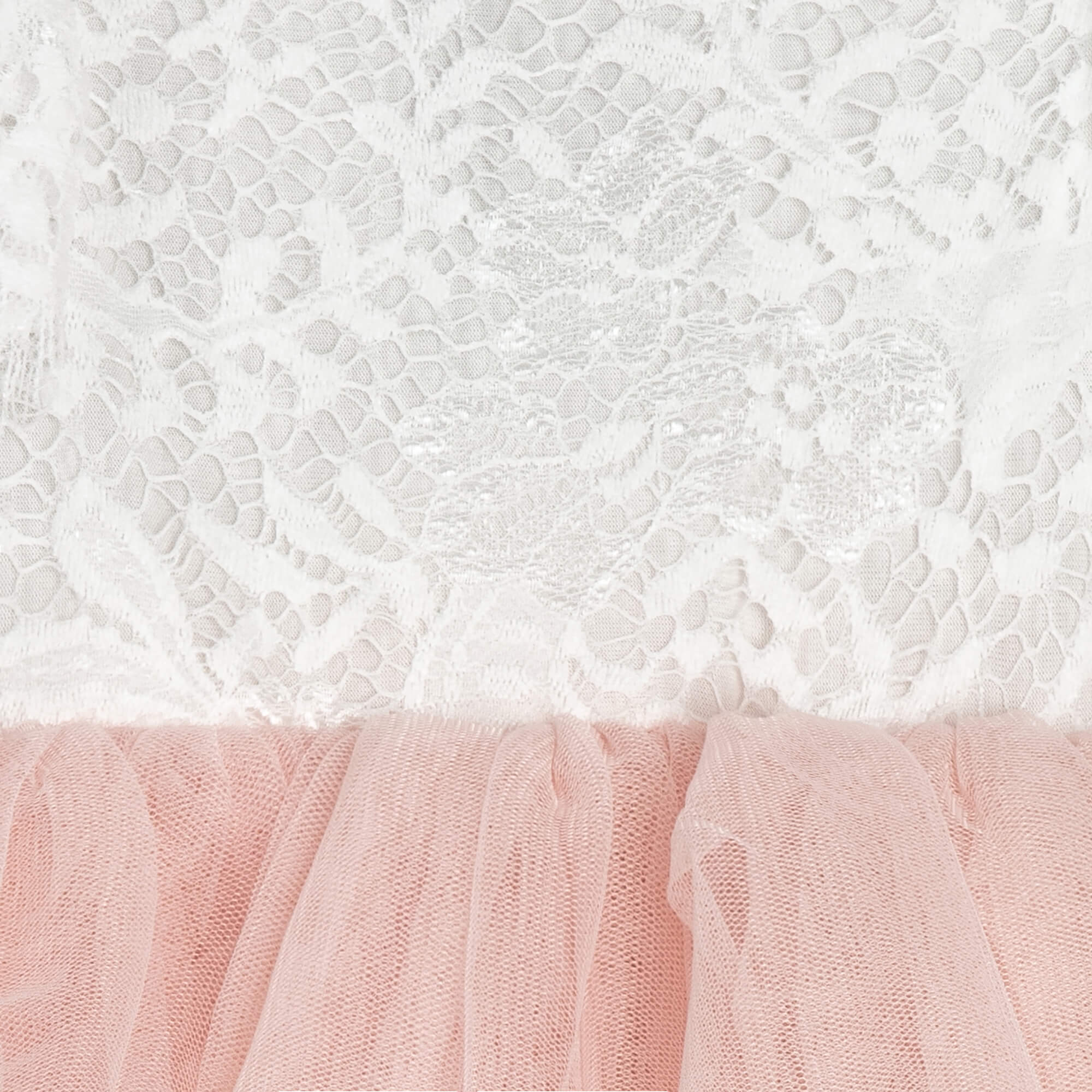 Close up of lace and blush tulle